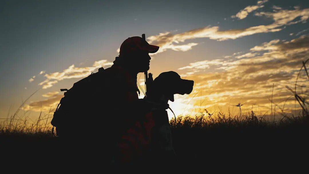 —读《智人之上：从石器时代到AI时代的信息网络简史》｜读书笔